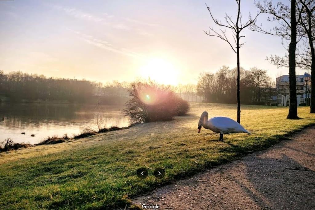 Sejour En Famille Ou Amis A Disneyland & Paris Lognes Zewnętrze zdjęcie